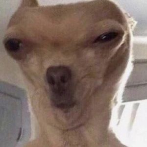 Meet your Posher, Ava